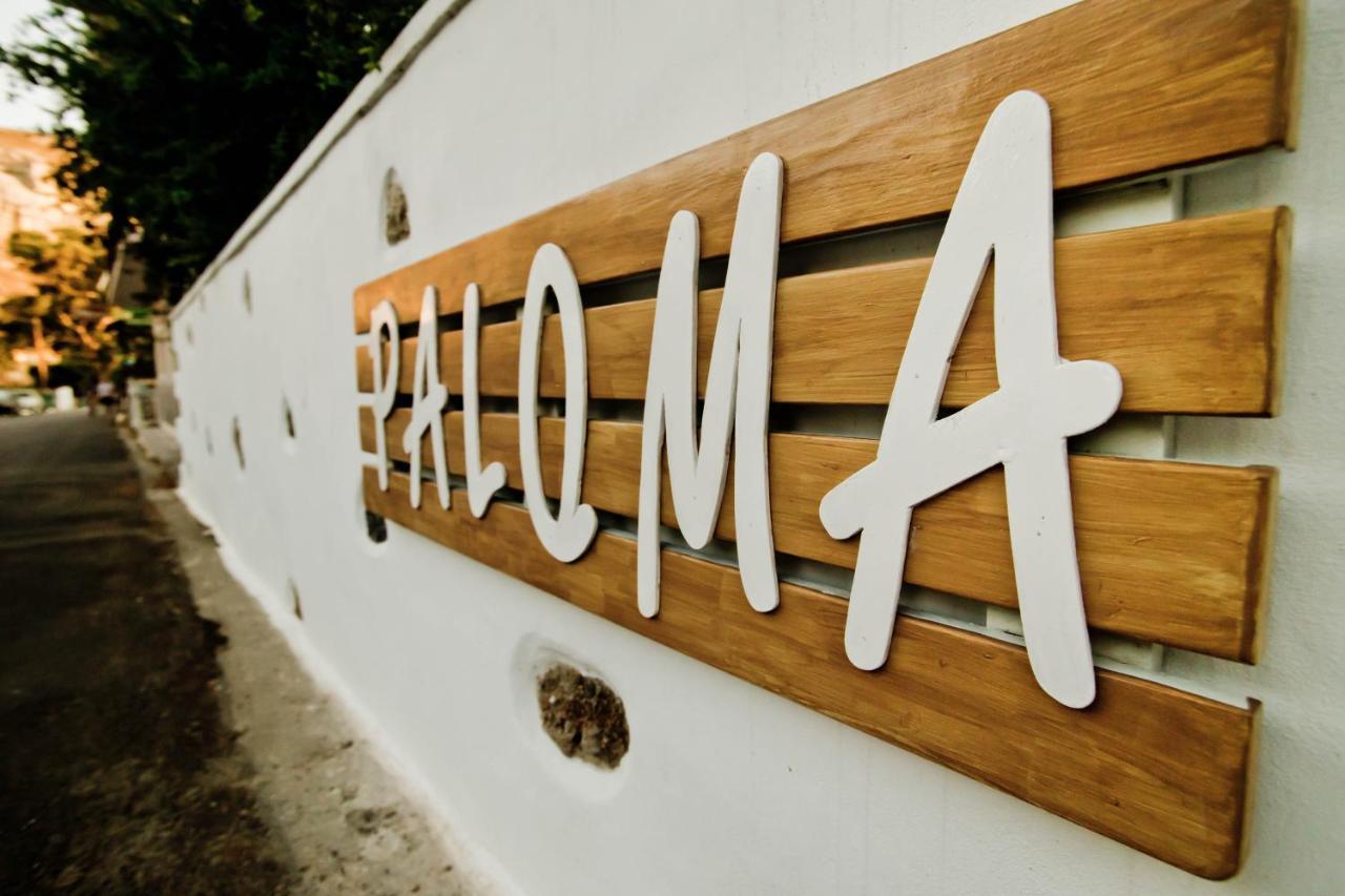 Paloma Luxury Studios Panormos  المظهر الخارجي الصورة
