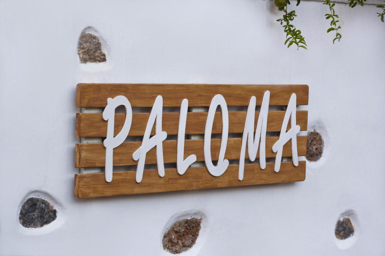 Paloma Luxury Studios Panormos  المظهر الخارجي الصورة