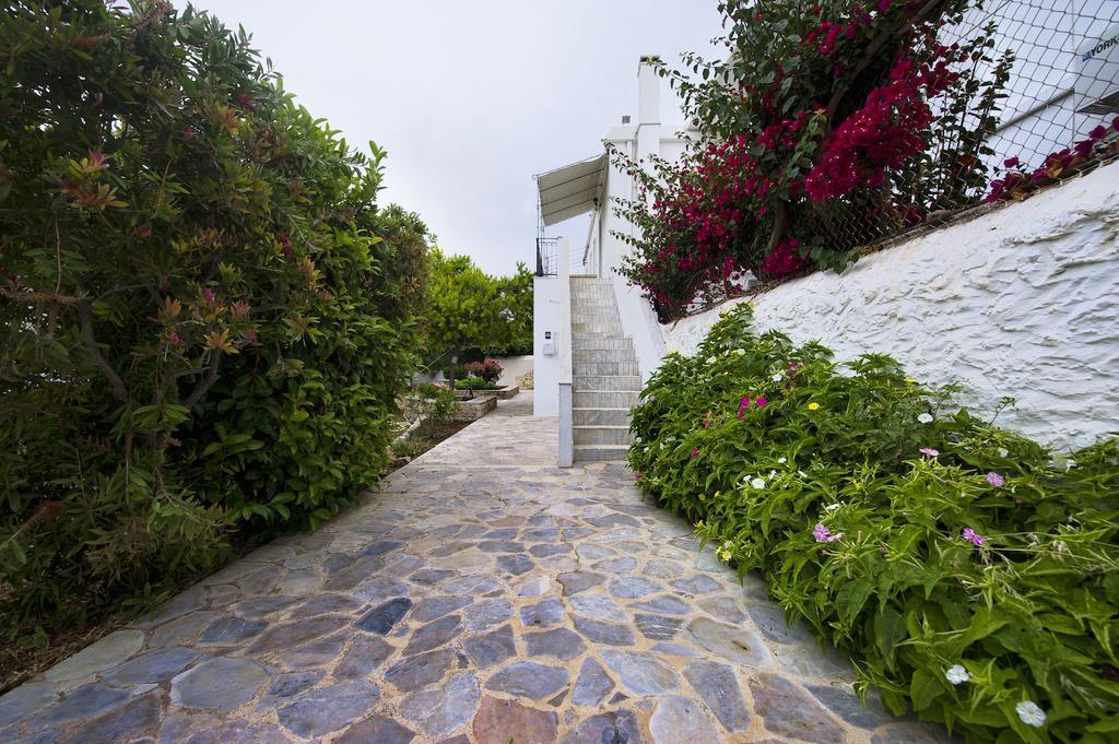 Paloma Luxury Studios Panormos  المظهر الخارجي الصورة